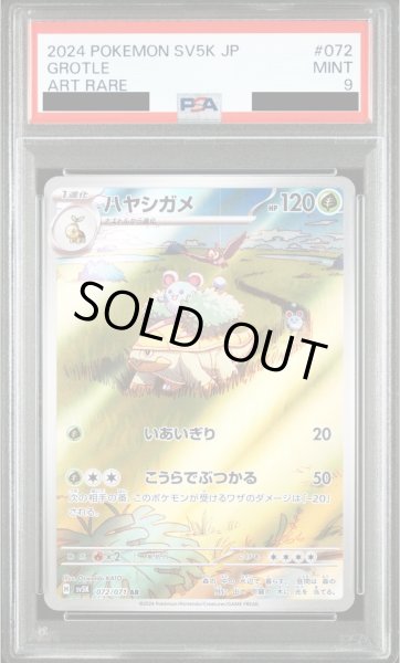 画像1: 【PSA9】ハヤシガメ(072/071 AR)【2号店併売中/店頭で状態確認可能！】 (1)