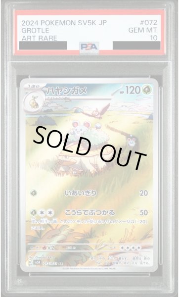 画像1: 【PSA10】ハヤシガメ(072/071 AR)【2号店併売中/店頭で状態確認可能！】 (1)