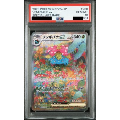 画像1: 【PSA10】御三家SAR連番３枚セット【2号店併売中/店頭で状態確認可能！】