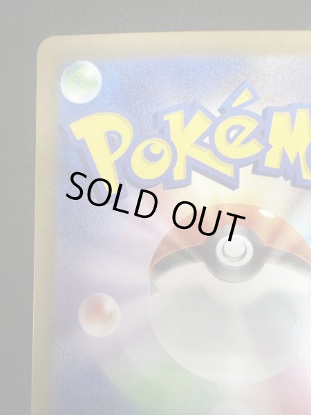 画像8: 【状態B】タロ(131/102 SAR) (8)