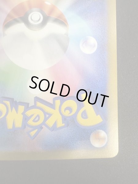 画像11: 【状態B】タロ(131/102 SAR) (11)