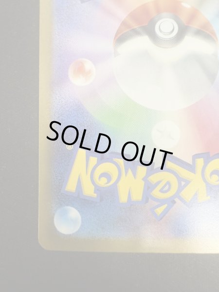 画像10: 【状態B】タロ(131/102 SAR) (10)