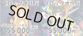[PN]2種のブロックオリパ