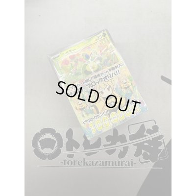 画像2: [PN]ザム娘のブロックオリパ4