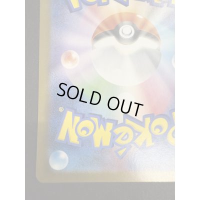 画像10: 【状態B】ナンジャモのハラバリーex(125/100 SAR)