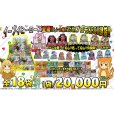 画像1: [PN]イーブイヒーローズ登場!!トレカ侍!!25thプロモ&BOX謎袋!!【全18口】 (1)
