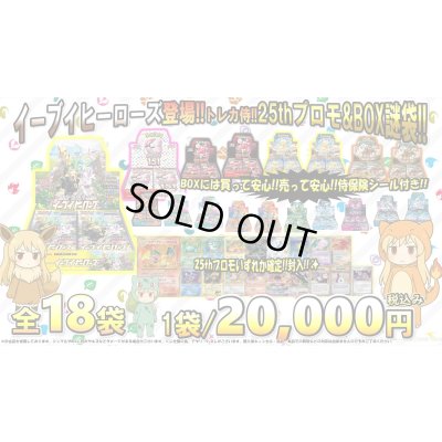 画像1: [PN]イーブイヒーローズ登場!!トレカ侍!!25thプロモ&BOX謎袋!!【全18口】