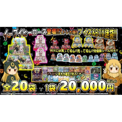 画像1: [PN]イーブイヒーローズ登場2!!トレカ侍!!ブイズ&BOX謎袋!!【全20口】
