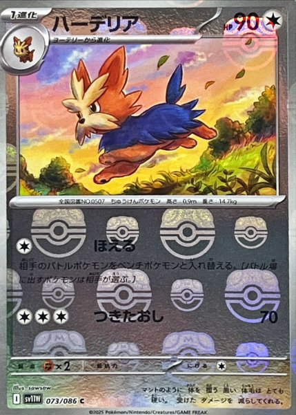画像1: ハーデリア(073/086)(ミラー/マスターボール) (1)
