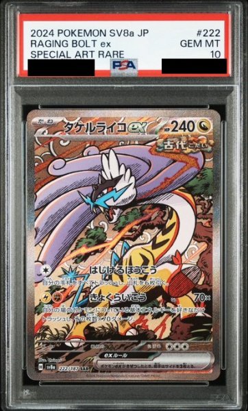 画像1: 【PSA10】タケルライコex(222/187 SAR) (1)