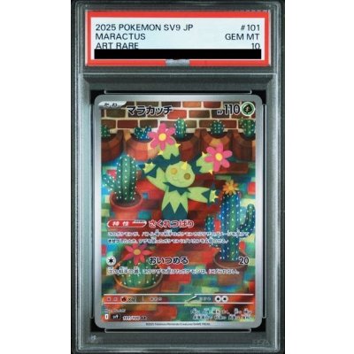 画像1: 【PSA10】マラカッチ(101/100 AR)【2号店併売中/店頭で状態確認可能！】