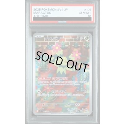 画像1: 【PSA10】マラカッチ(101/100 AR)【2号店併売中/店頭で状態確認可能！】
