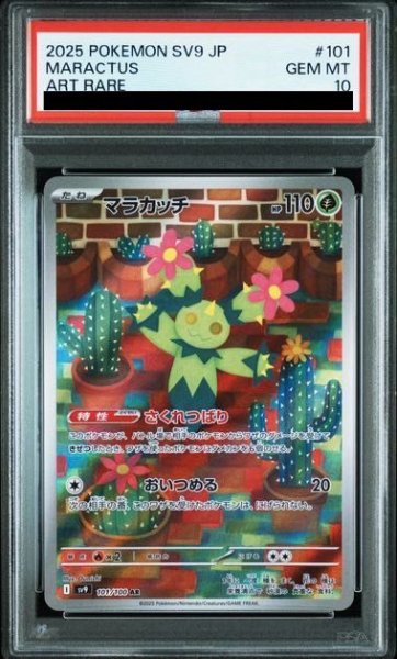 画像1: 【PSA10】マラカッチ(101/100 AR)【2号店併売中/店頭で状態確認可能！】 (1)