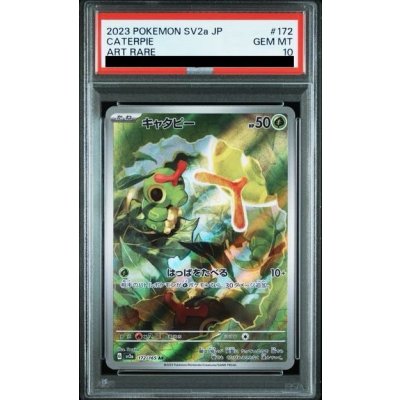 画像1: 【PSA10】キャタピー(172/165 AR)【2号店併売中/店頭で状態確認可能！】