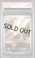 【PSA10】	オムナイト(180/165 AR)【2号店併売中/店頭で状態確認可能！】