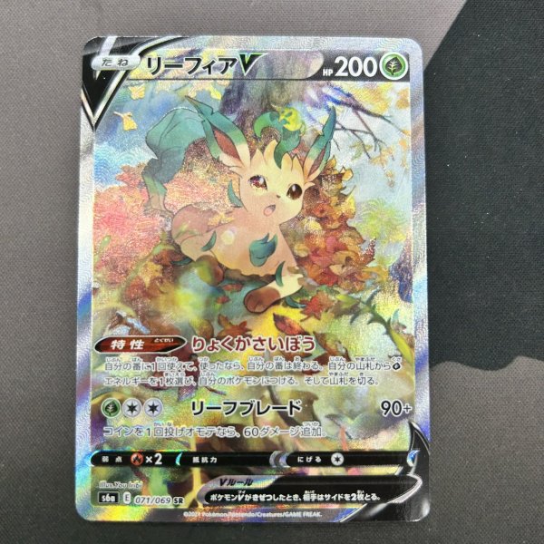 画像1: 【状態B】リーフィアV(071/069 SR) (1)