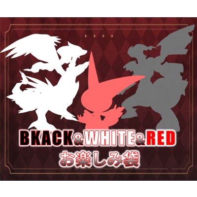 画像1: BLACK&WHITE&RED115,000円謎袋[全2口]