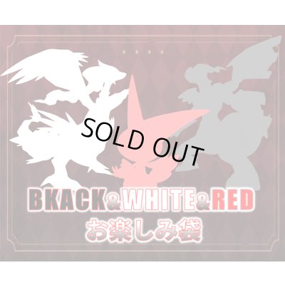 画像1: BLACK&WHITE&RED115,000円謎袋[全2口]