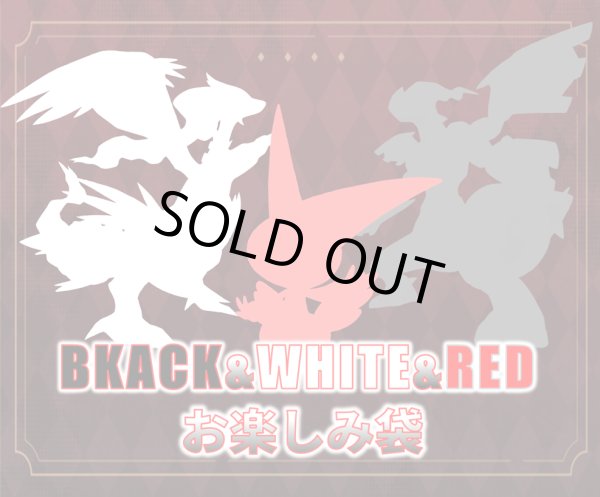 画像1: BLACK&WHITE&RED115,000円謎袋[全2口] (1)