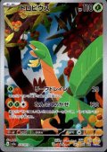 【PSA10】トロピウス(074/073 AR)【2号店併売中/店頭で状態確認可能！】