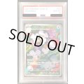 【PSA10】	イッカネズミ （081/071 AR）【2号店併売中/店頭で状態確認可能！】