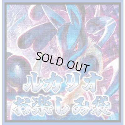 画像1: ルカリオお楽しみ115,000円謎袋[全1口]