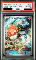 【PSA10】ポワルン たいようのすがた(067/064 AR)