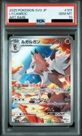 【PSA10】ルガルガン(107/100 AR)