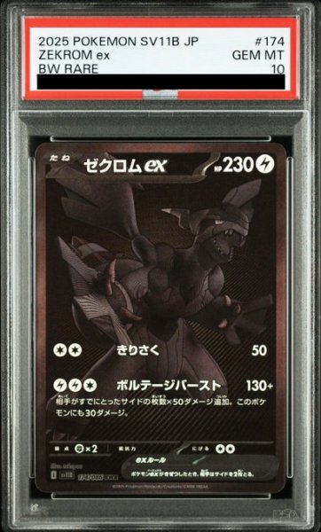 画像1: 【PSA10ゼクロムex(174/086 BWR)【2号店併売中/店頭で状態確認可能！】 (1)