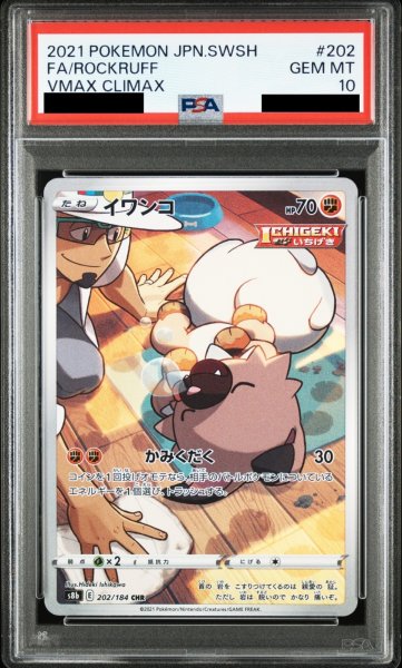 画像1: 【PSA10】イワンコ(202/184　CHR)【2号店併売中/店頭で状態確認可能！】 (1)