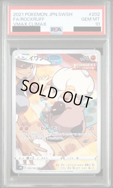 画像1: 【PSA10】イワンコ(202/184　CHR)【2号店併売中/店頭で状態確認可能！】 (1)