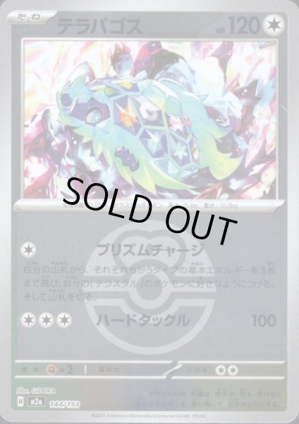 画像1: テラパゴス(ミラー)(144/193)【ボール柄】 (1)