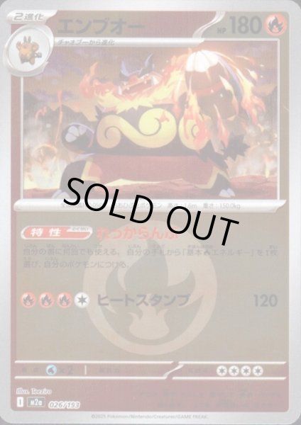 画像1: エンブオー(ミラー)(026/193)【エネルギーマーク柄】 (1)