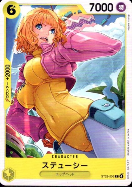 画像1: ステューシー(C)(ST29-006) (1)