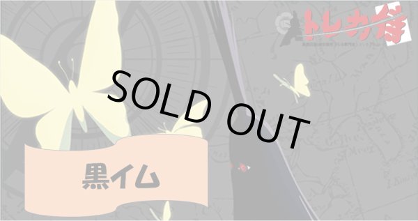 画像1: 黒イム デッキ (1)