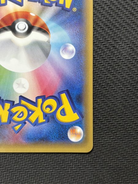 画像11: 『池袋本店併売品』ポンチョを着たピカチュウ(231/XY-P) (11)