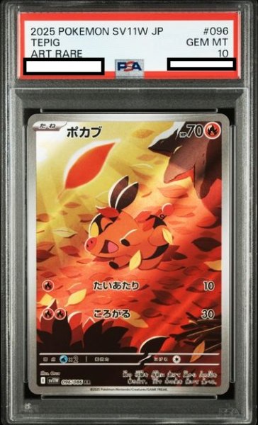 画像1: 【PSA10】ポカブ(096/086 AR) (1)