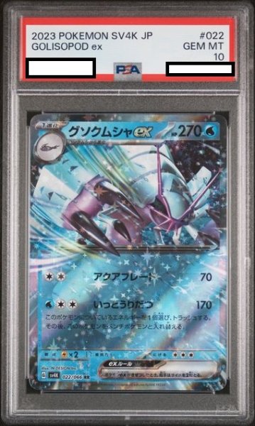 画像1: 【PSA10】グソクムシャex(022/066 RR) (1)