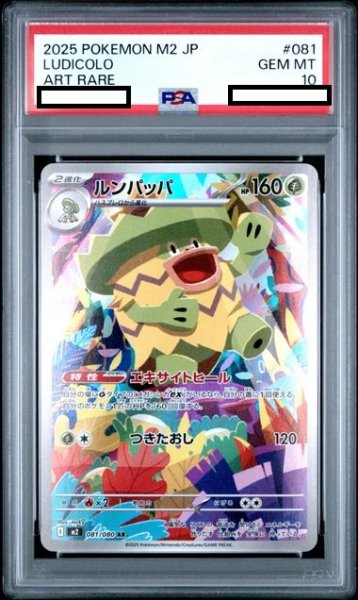 画像1: 【PSA10】ルンパッパ(AR)(081/080) (1)