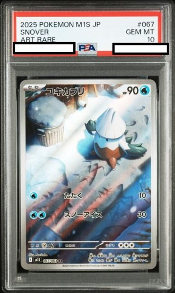 画像1: 【PSA10】ユキカブリ(AR)(067/063) (1)