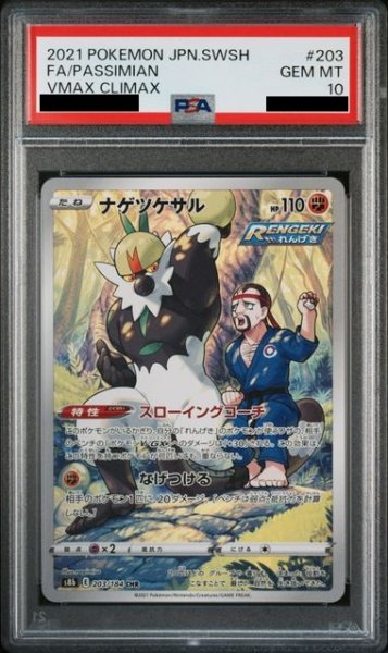 画像1: 【PSA10】ナゲツケサル(203/184 CHR) (1)