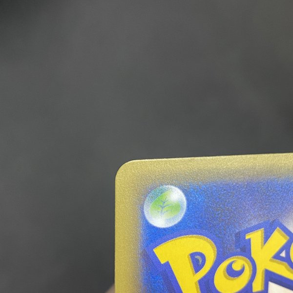 画像5: 【状態B】ポンチョを着たピカチュウ(230/XY-P) (5)