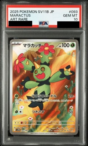 画像1: 【PSA10】マラカッチ (093/086　AR)【2号店併売中/店頭で状態確認可能！】 (1)