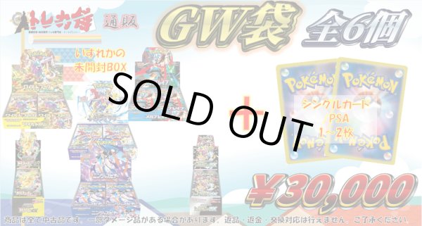 画像1: GW30,000円謎袋 (1)