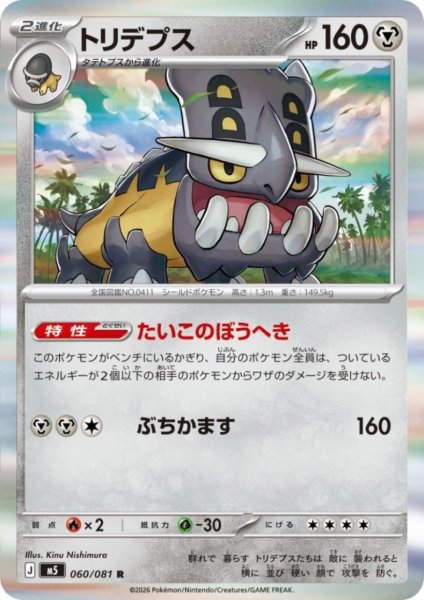 画像1: トリデプス(R)(060/081) (1)