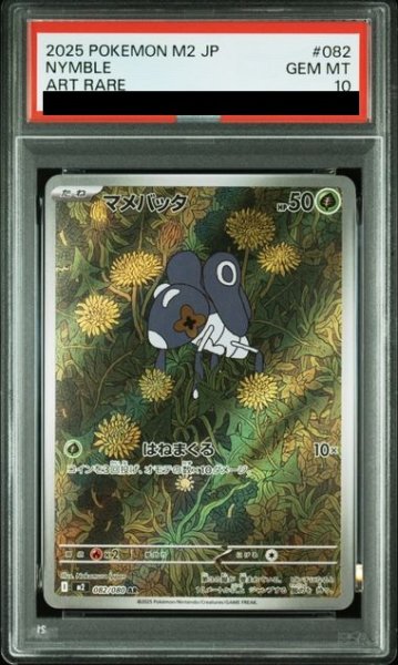 画像1: 【PSA10】マメバッタ(AR)(082/080)【2号店併売中/店頭で状態確認可能！】 (1)