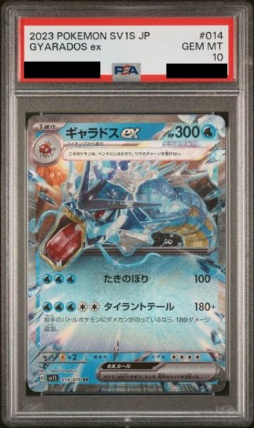 画像1: 【PSA10】ギャラドスex(014/078 RR)【2号店併売中/店頭で状態確認可能！】 (1)