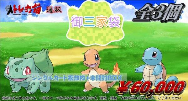 画像1: 御三家袋 (1)