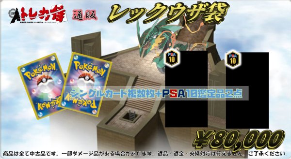 画像1: レックウザ袋(80,000円) (1)