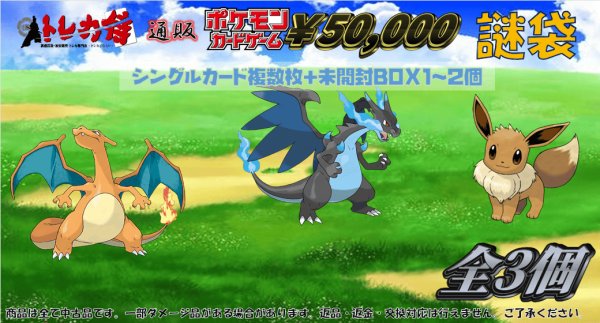 画像1: ポケモンカード50000円謎袋 (1)